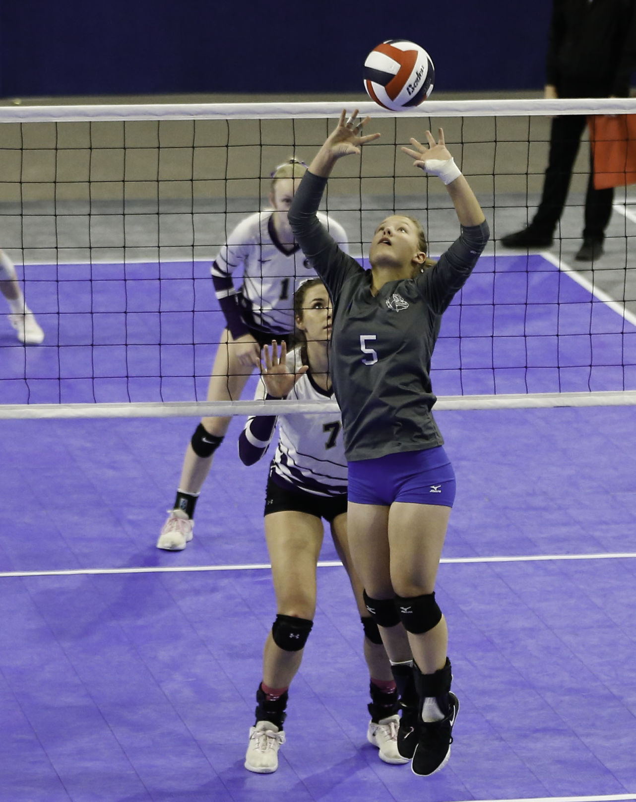 Townsend's Emily Bird